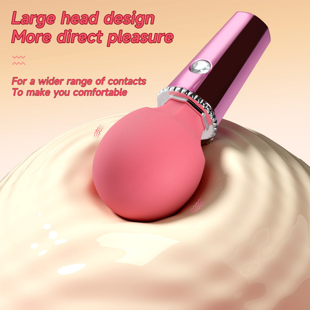 Diamond Vibrating Small AV Microphone Stick